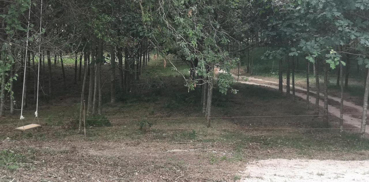 Quinta Do Soldado Villa Albergaria-a-Velha Eksteriør billede