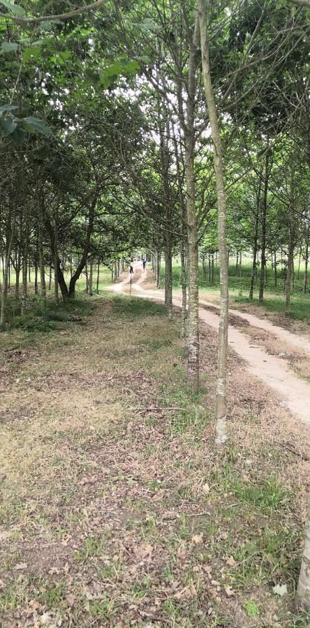 Quinta Do Soldado Villa Albergaria-a-Velha Eksteriør billede