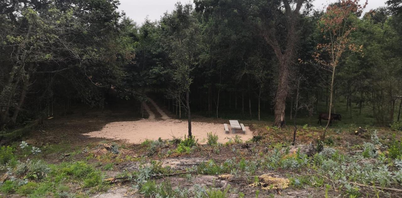 Quinta Do Soldado Villa Albergaria-a-Velha Eksteriør billede