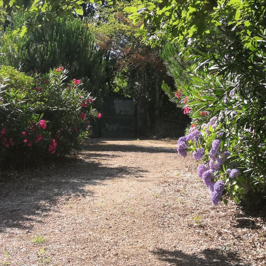 Quinta Do Soldado Villa Albergaria-a-Velha Eksteriør billede