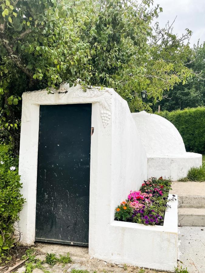 Quinta Do Soldado Villa Albergaria-a-Velha Eksteriør billede