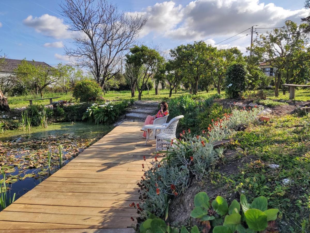 Quinta Do Soldado Villa Albergaria-a-Velha Eksteriør billede