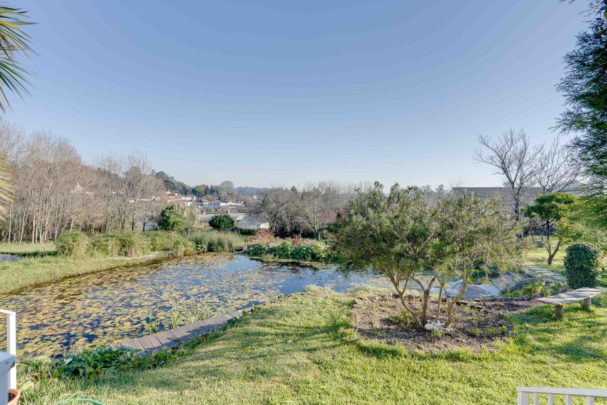 Quinta Do Soldado Villa Albergaria-a-Velha Eksteriør billede